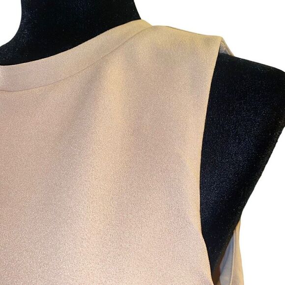She + Sky Light Tan Sleeveless Side Cut Out Sheath Dress Sz L NWT - Picture 5 of 14